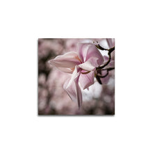 Afbeelding in Gallery-weergave laden, Rustieke magnolia
