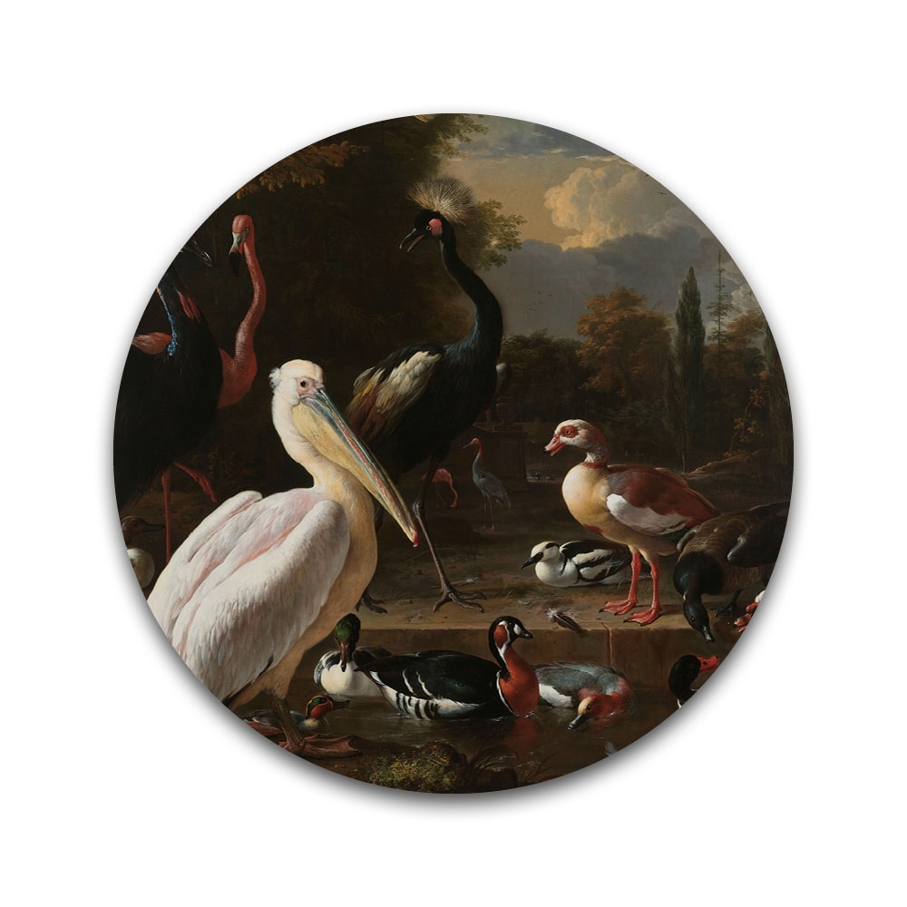 Een pelikaan en ander gevogelte - Rond