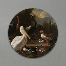 Afbeelding in Gallery-weergave laden, Een pelikaan en ander gevogelte - Rond
