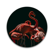 Afbeelding in Gallery-weergave laden, Flamingo&#39;s op zwart - Rond

