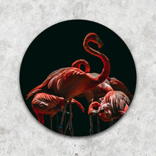 Afbeelding in Gallery-weergave laden, Flamingo&#39;s op zwart - Rond
