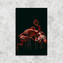 Afbeelding in Gallery-weergave laden, Flamingo&#39;s op zwart
