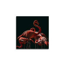 Afbeelding in Gallery-weergave laden, Flamingo&#39;s op zwart
