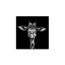 Afbeelding in Gallery-weergave laden, Giraf zwart/wit
