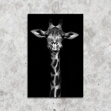 Afbeelding in Gallery-weergave laden, Giraf zwart/wit
