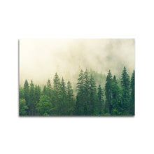 Afbeelding in Gallery-weergave laden, Dennebomen in de mist
