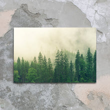 Afbeelding in Gallery-weergave laden, Dennebomen in de mist
