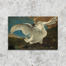 Afbeelding in Gallery-weergave laden, De bedreigde zwaan
