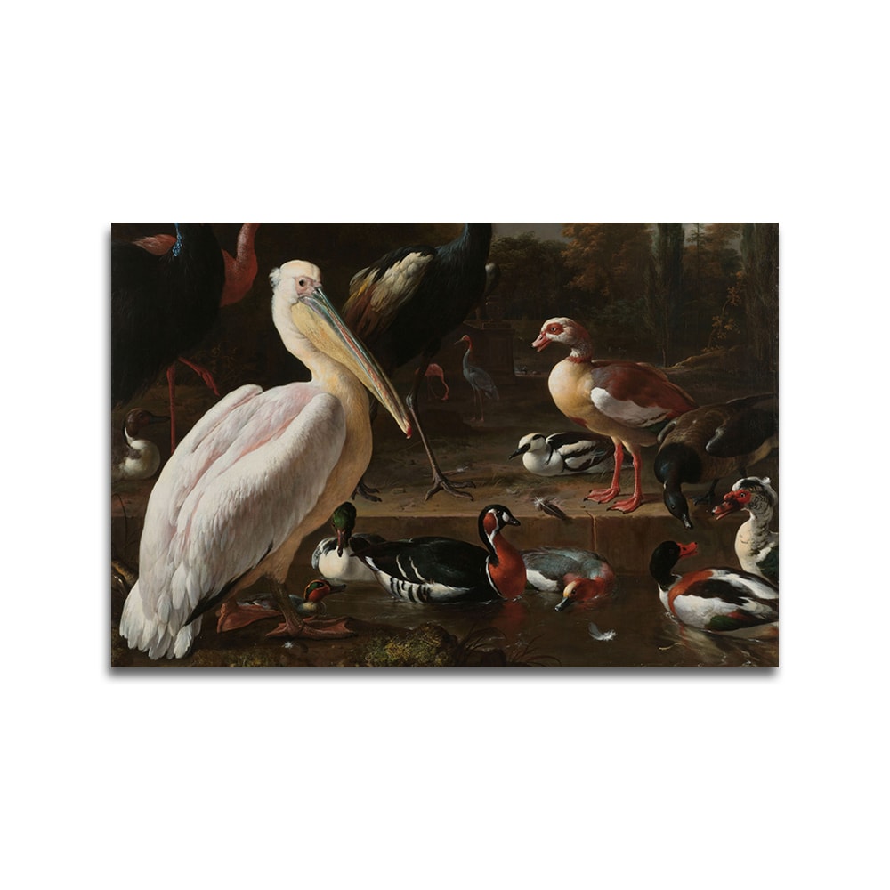 Een pelikaan en ander gevogelte