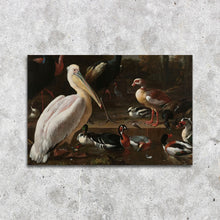 Afbeelding in Gallery-weergave laden, Een pelikaan en ander gevogelte
