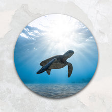 Afbeelding in Gallery-weergave laden, Schildpad in zee - Rond
