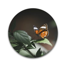 Afbeelding in Gallery-weergave laden, Vlinder op blad - Rond
