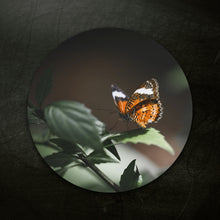 Afbeelding in Gallery-weergave laden, Vlinder op blad - Rond

