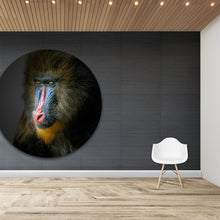 Afbeelding in Gallery-weergave laden, Gekleurde baviaan - Rond
