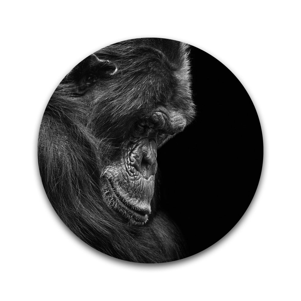 Chimpansee zwart/wit - Rond