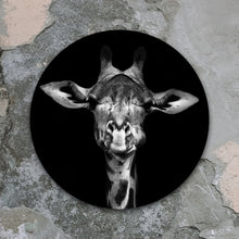 Afbeelding in Gallery-weergave laden, Giraf zwart/wit - Rond
