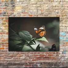 Afbeelding in Gallery-weergave laden, Vlinder op blad

