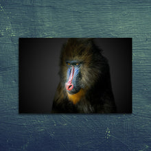 Afbeelding in Gallery-weergave laden, Gekleurde baviaan
