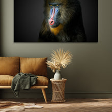 Afbeelding in Gallery-weergave laden, Gekleurde baviaan
