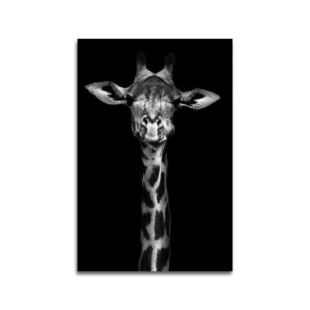 Giraf zwart/wit
