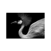 Afbeelding in Gallery-weergave laden, De Grijze Kroonkraanvogel
