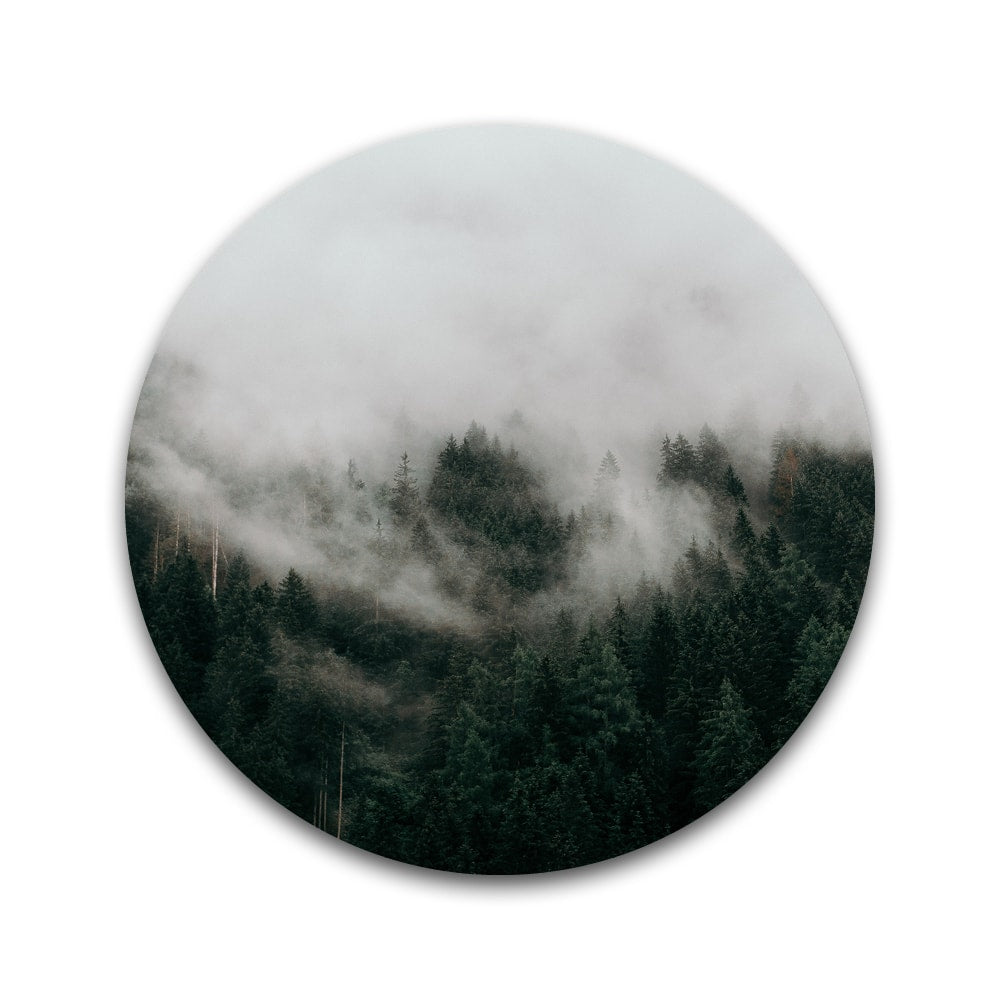 Mist in een bergbos - Rond