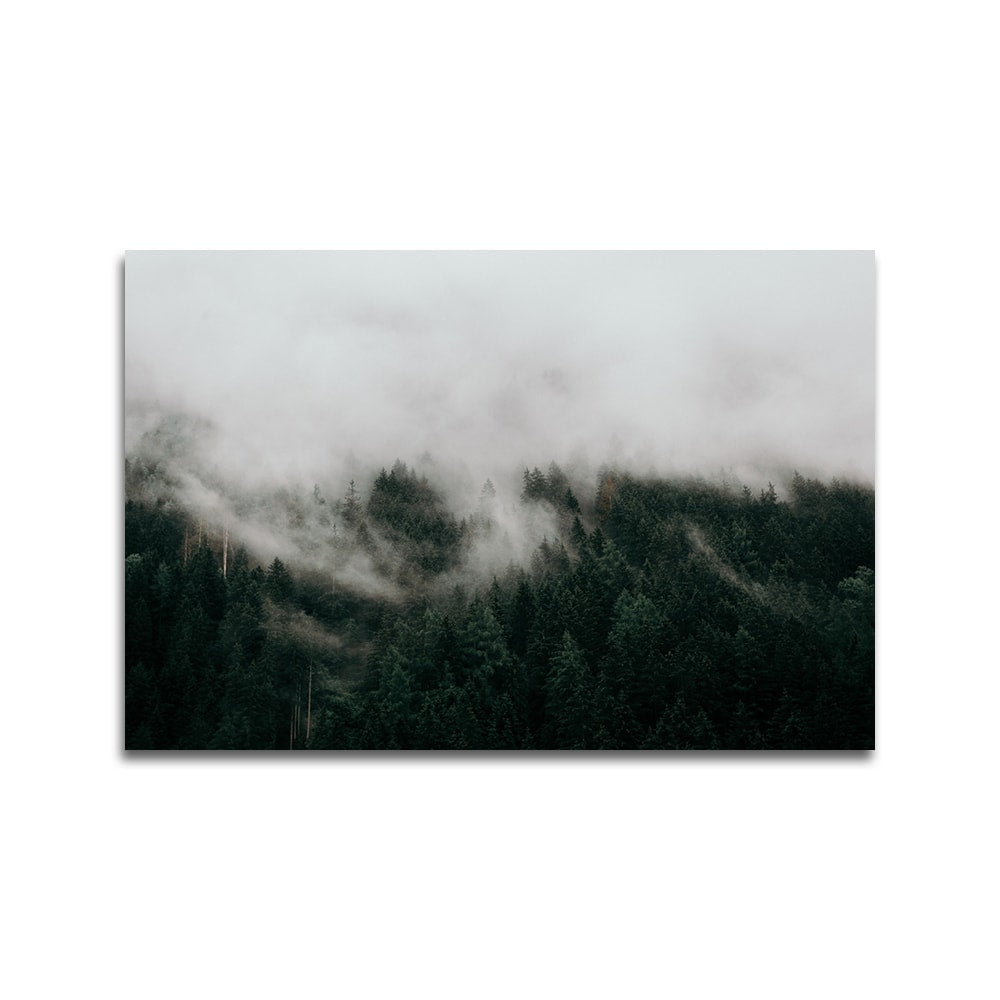 Mist in een bergbos
