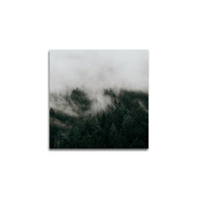 Afbeelding in Gallery-weergave laden, Mist in een bergbos
